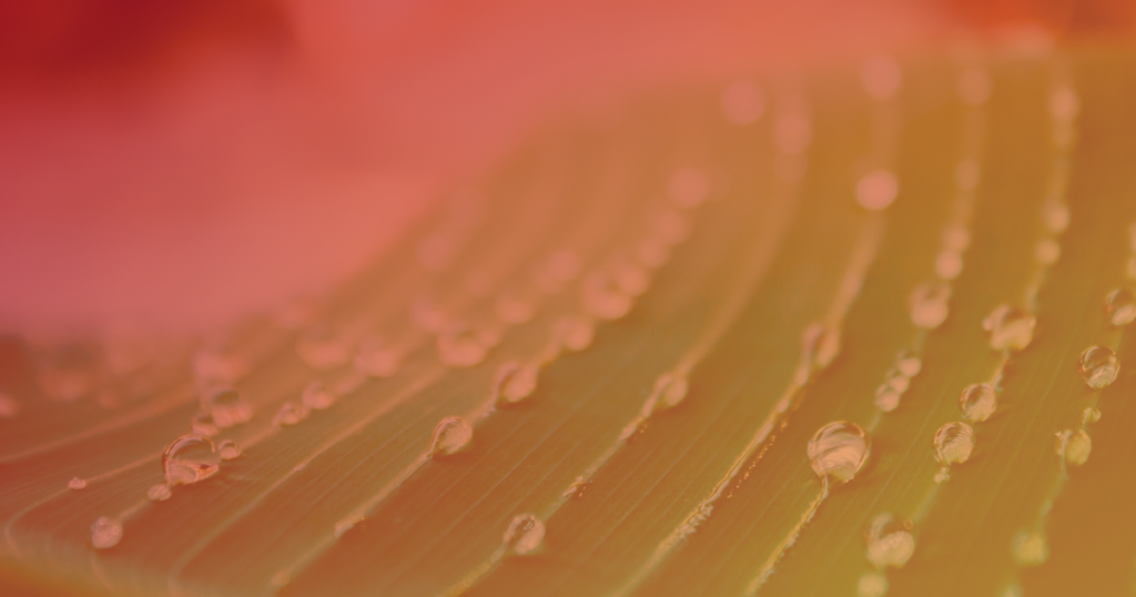 Sustainable Technology
