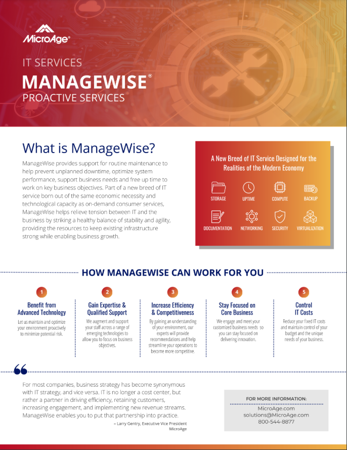 MicroAge ManageWise brochure thumbnail