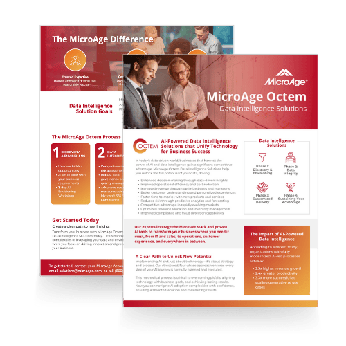 MicroAge Octem Data Intelligence Solutions Brochure